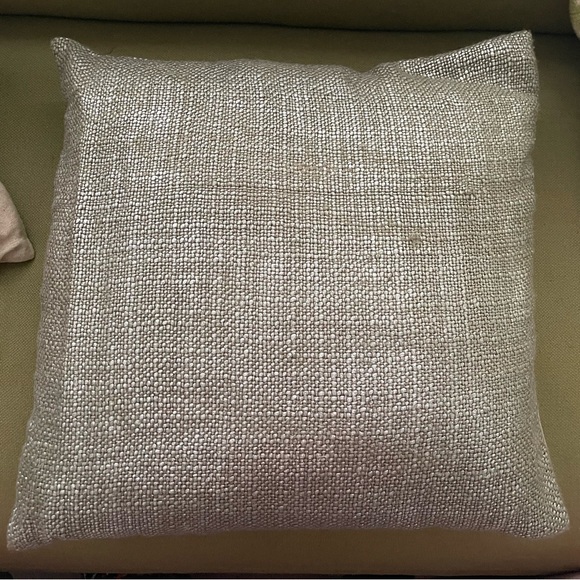 West Elm Other - West Elm Metallic Brushed Weave Pillow Cover and Insert